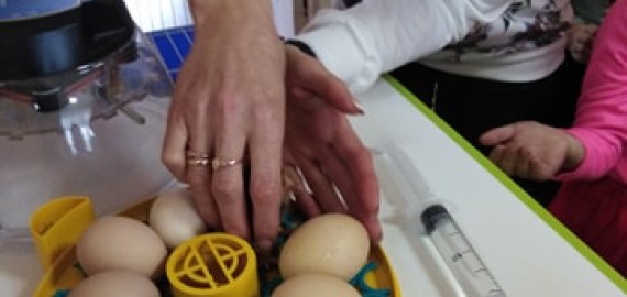 „Pumpurėlyje“ – maži pūkuoti augintiniai (foto)