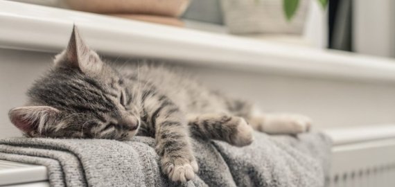 Baigiantis vasarai pranešė apie šildymo kainas: reikės mokėti daugiau