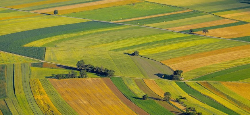 Beveik visą žemę kaime savininkams žadama grąžinti šiemet