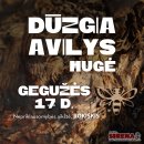 Dūzgiančių bitučių pulkas atvyksta į Rokiškį