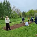 Puošia Velykalnio parką: jau augančių ąžuolų ir narcizų plantacijas šiemet papildė jurginai