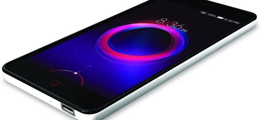 Rokiškio jaunimo centre iš merginos pavogtas prabangus telefonas