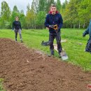 Puošia Velykalnio parką: jau augančių ąžuolų ir narcizų plantacijas šiemet papildė jurginai