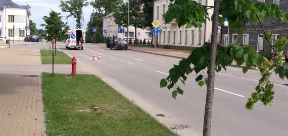 Rokiškio mieste naktį siautėję chuliganai nupjovė penkias liepaites