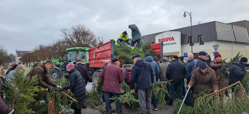 Jau rytoj – tradicinė eglių ir pušų šakų dalinimo akcija