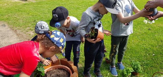 Rokiškio lopšelis-darželis „Varpelis“ puošiasi gėlių žiedais
