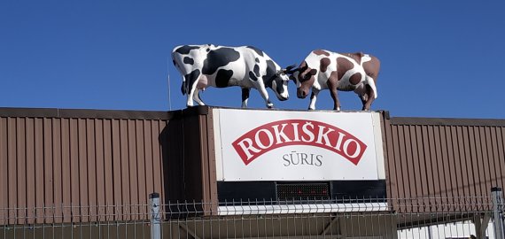 AB „Rokiškio sūris“ prie komandos kviečia prisijungti specialistus