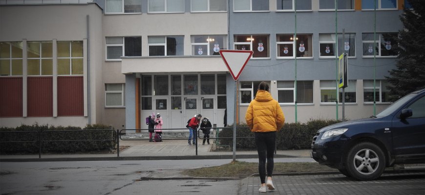Švietimo ministras siūlys dviem savaitėms stabdyti ugdymo procesą (apklausa)