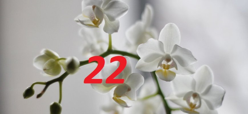 Gegužės 22-oji Lietuvoje ir pasaulyje