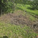 Juodupės g. nukrito gandralizdis - nutraukė elektros laidus (foto)