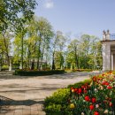 Užburiantis vaizdas: pražydęs Ilzenbergo dvaro parkas nepaliks abejingų