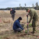 Ąžuolų giria jau pasodinta – Nacionalinis miškasodis Rokiškyje šį kartą buvo išskirtinis (foto)