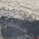 Kelias Rokiškis-Jūžintai paskutinį kartą remontuotas 2017 m. ir tai – tik 2 km ilgio ruožas...    