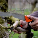 Medžių pjovimas, kaminų valymas, remonto darbai