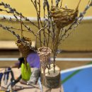 „Juozuko mugė 2025“ – kūrybos, verslumo ir muzikos šventė! (foto)