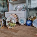 R. Junokienės priežiūroje – daugiau nei 3 tūkst. gulbių (foto)