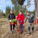 Rokiškėnų „Laisvės miškas“ sužaliuos Bajorų girioje – įvyko nacionalinis miškasodis (foto)