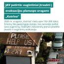Krizės metu žmonės neturėtų rinktis tarp savo saugumo ir augintinio: Lietuvai reikia aiškios tvarkos dėl gyvūnų priedangose