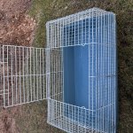 Narvelis graužikams 