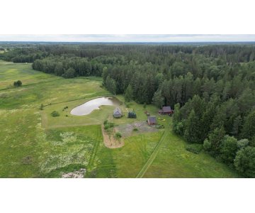 Vienkiemis prie pat Rokiškio miesto