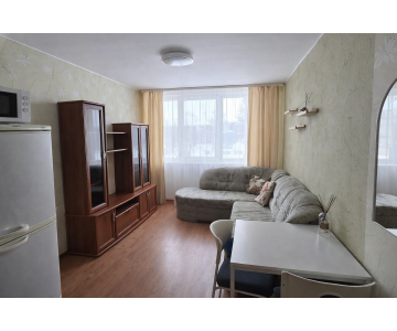 Dviejų kambarių butas