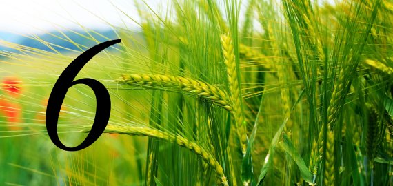 Rugpjūčio 6-oji Lietuvoje ir pasaulyje