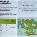 Audros padariniai Rokiškyje: ko pasimokyta ir kaip rengiamasi ateičiai?