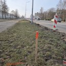 Su bundančia gamta prasideda ir darbymetis – iki vasaros jau džiugins du atnaujinti takai mieste  