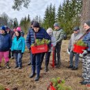 Rokiškėnų „Laisvės miškas“ sužaliuos Bajorų girioje – įvyko nacionalinis miškasodis (foto)