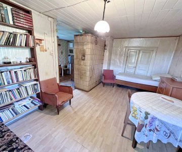 Vienkiemis netoli Pandėlio