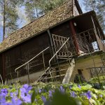 Sodyba miške, šalia ežero – Degučių pakrantėje