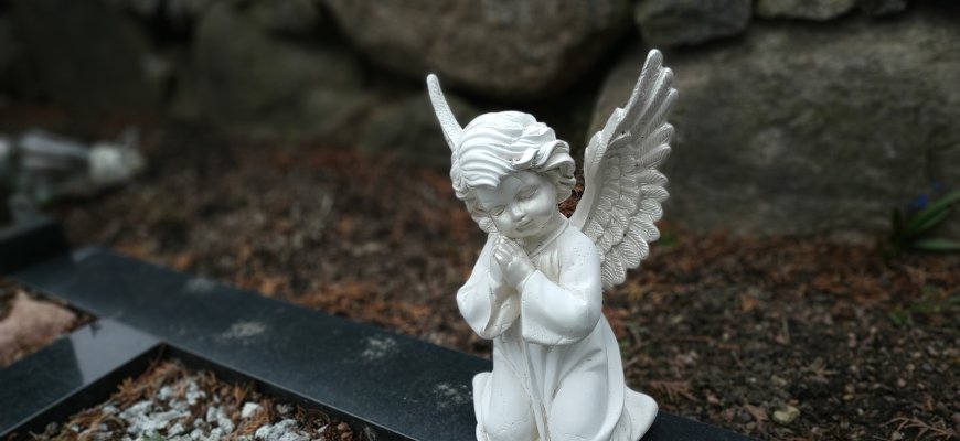 Užuojauta A. Kuliui dėl tėvelio mirties