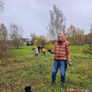 Pušaitėmis apsodinta dar viena Rokiškio žalioji erdvė