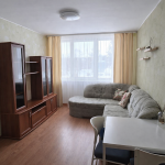 Dviejų kambarių butas