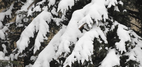 Lietuvoje iškritęs gausus sniegas nėra rekordinis 