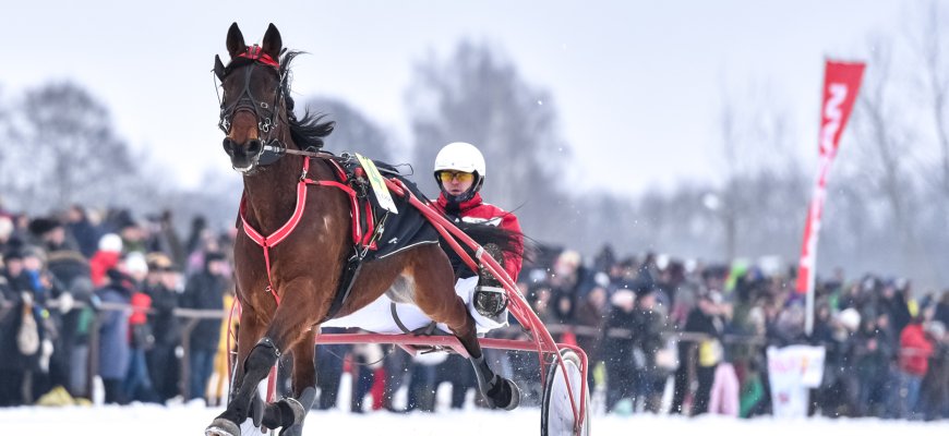 Vasario 1-ąją - tradicinės žirgų lenktynės „Sartai 2020“