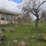 Sodo sklypas su sodo namu 