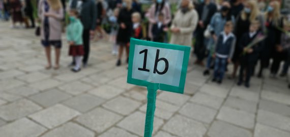 Kaip vyks mokymo procesas rajone karantino metu