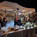 Eglės įžiebimo šventė šiemet pranoko lūkesčius (foto+video)