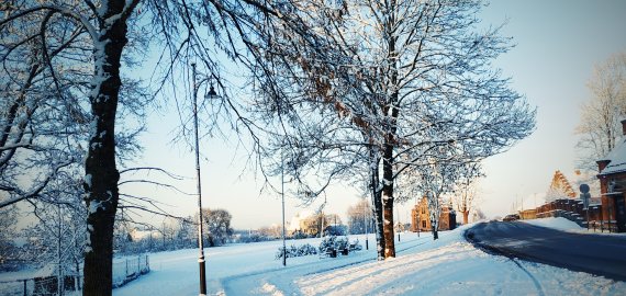 Sinoptikams prognozuojant -15 laipsnių šalčio, 10 vaistininkės patarimų, kaip pasirūpinti sveikata