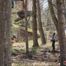 Tvarkomas parkas tarp Rokiškio rajono ligoninės ir psichikos centro (foto+video)