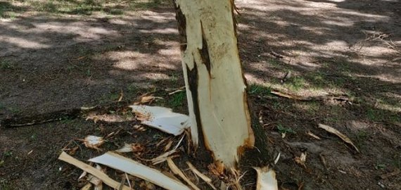Vandalizmas Rokiškyje ir toliau tęsiasi