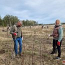 Ąžuolų giria jau pasodinta – Nacionalinis miškasodis Rokiškyje šį kartą buvo išskirtinis (foto)