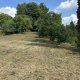 Sodo sklypas