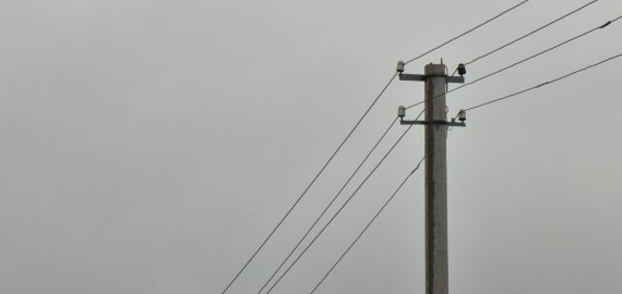 Visuomeninė elektros kaina gyventojams kitąmet augtų iki 28 centų