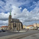 Rokiškio šauliai Čekijoje sėmėsi patirties ir siekė rekordų (foto)