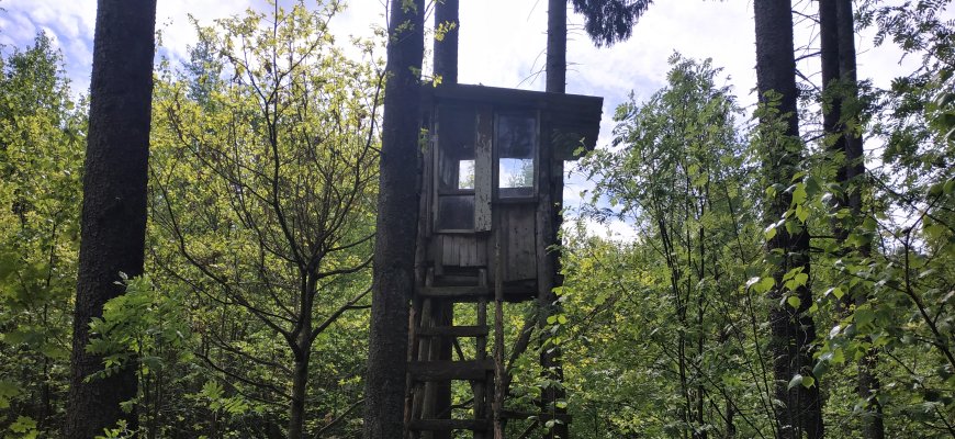 Spalio 15-ąją – medžioklės su varovais sezono pradžia