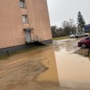 Papiktino kiemo būkle, tačiau pusė jo – pačių besipiktinančiųjų atsakomybėje