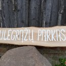 Saulę ir kraštiečius į Kamajų pusę vilioja Jašinų saulėgrąžų laukai