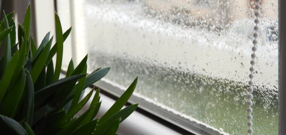 Orai: lietų savaitgalį pakeis saulės spinduliai